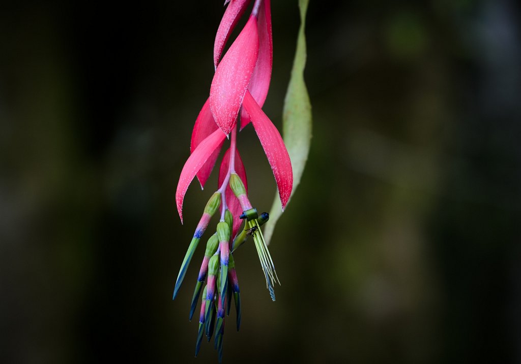 DSC-7734.jpg