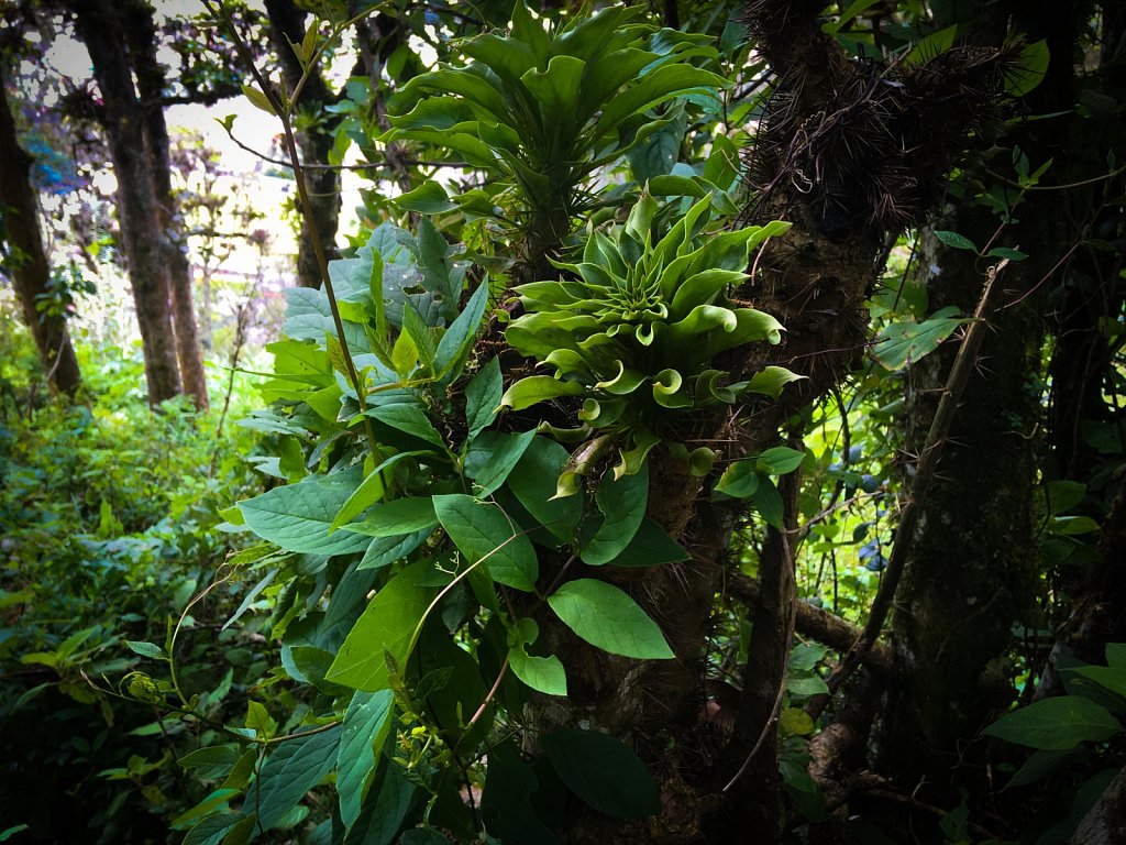 IMG-1919.jpg