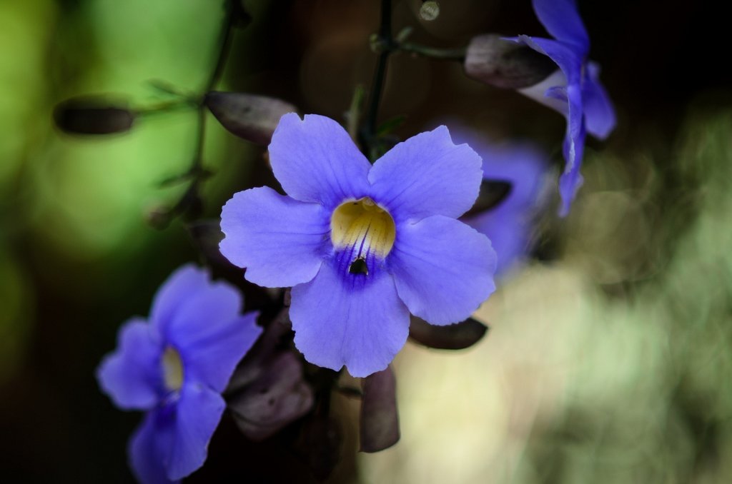 DSC-9540.jpg