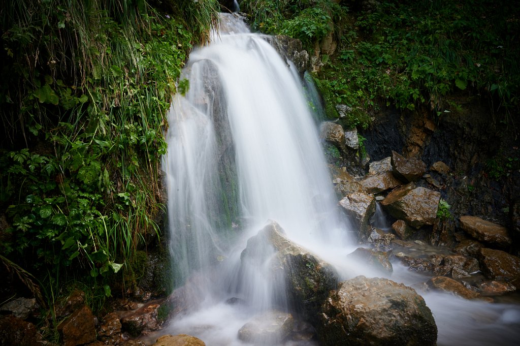 Pure Nature